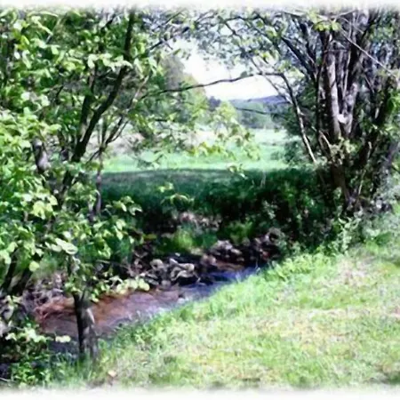 Burg Waldau 3* Grasellenbach