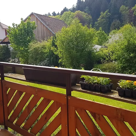 Burg Waldau 3* Grasellenbach