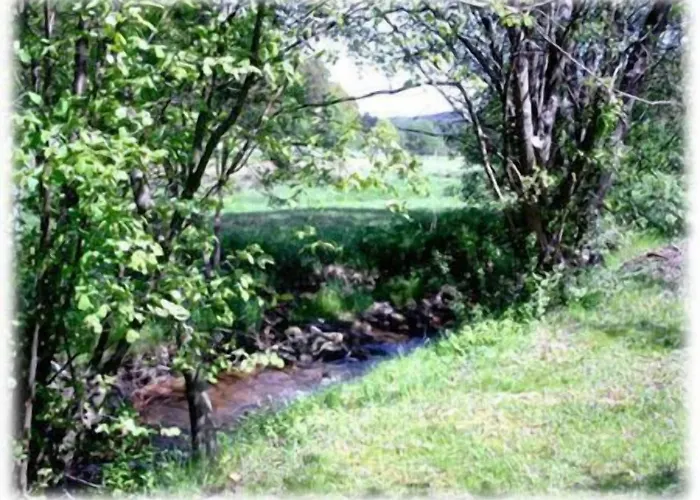 Burg Waldau 3* Grasellenbach