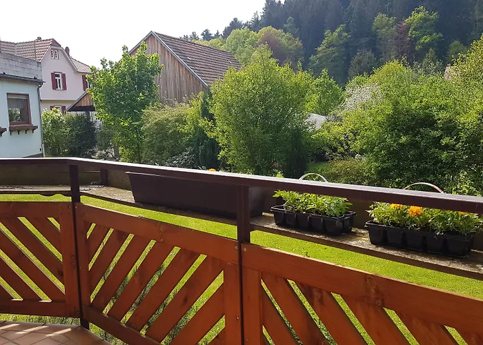 Burg Waldau 3* Grasellenbach